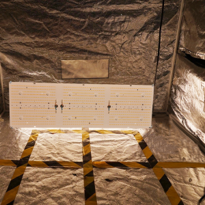 LED Panel Grow Light